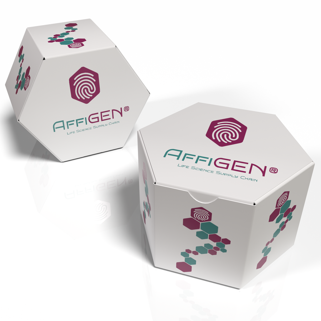 AffiGEN®​ CD33 APC (Flow Cytometry)