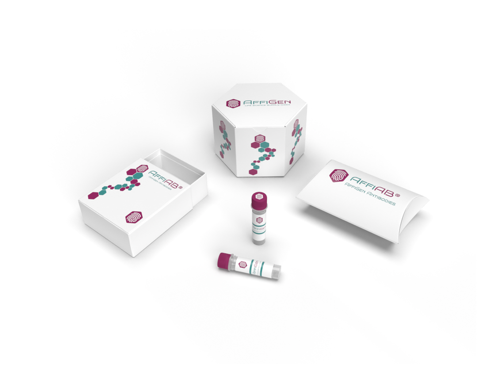 [AFG-XBO-2332] AffiGEN®​ Recombinant human TRAIL-R1 (DR4) /Fc Chimera